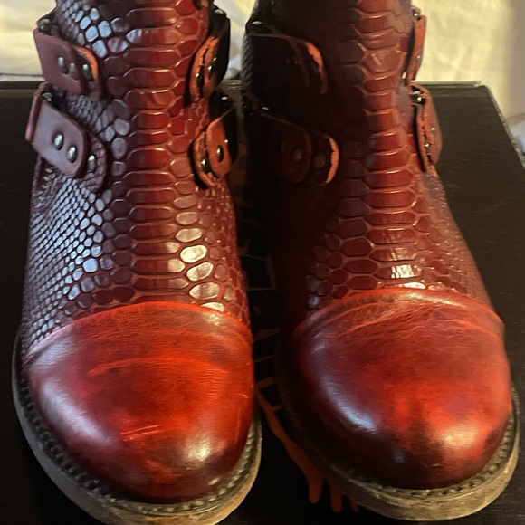 Freebird Gecko in Red - Picture 3 of 11